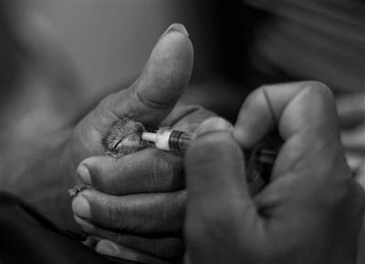 Razlaga klinične vrednosti vbodnih igel - Klinična usmeritev za razvoj izdelk...